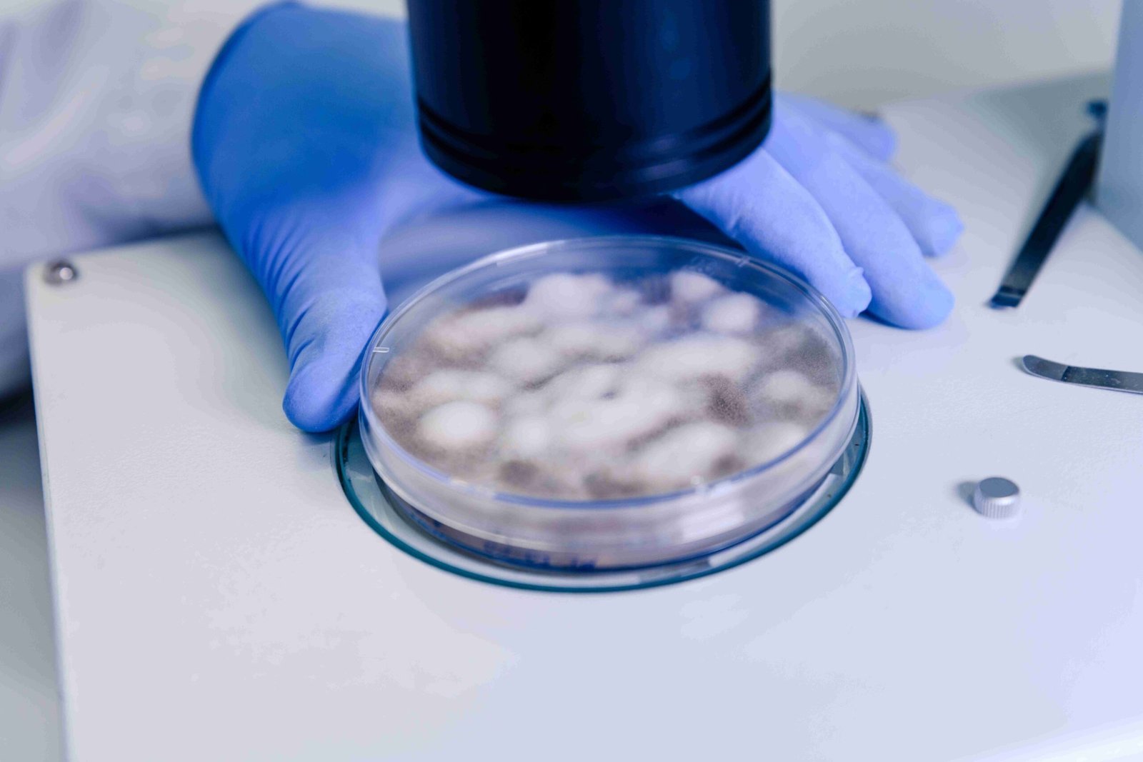 Cryo-Preservation Embryo Freezing | Naraya Health