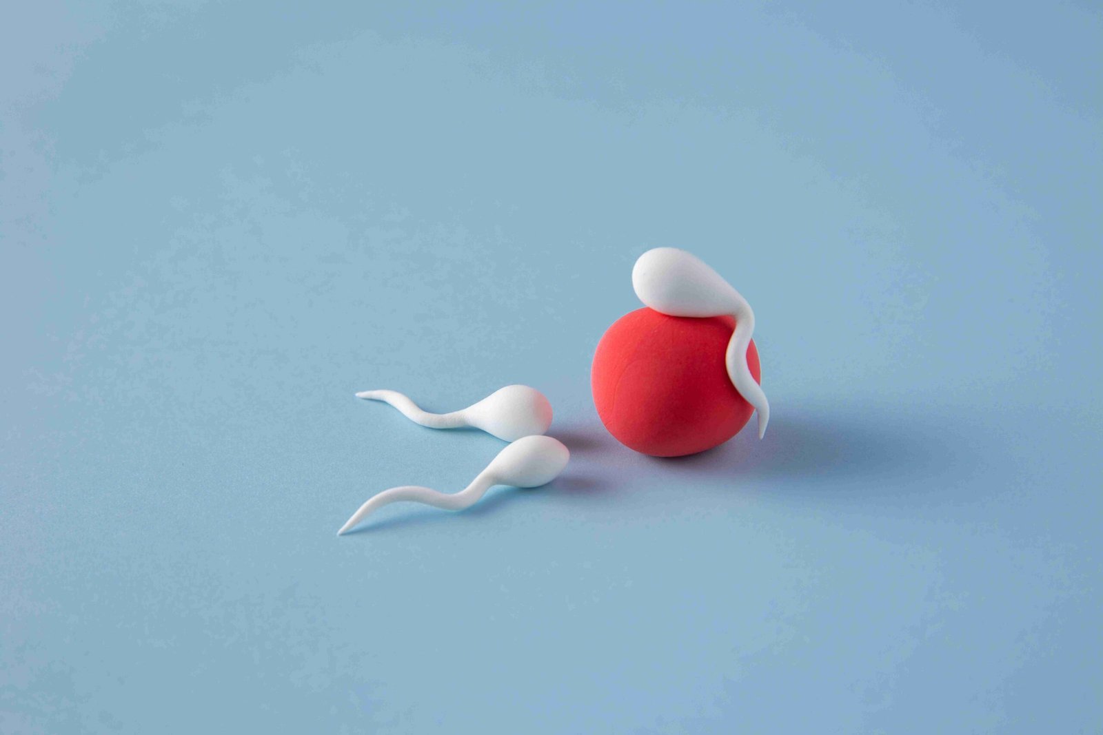 Donor Eggs & Sperm Treatment in Mumbai | Naraya Health