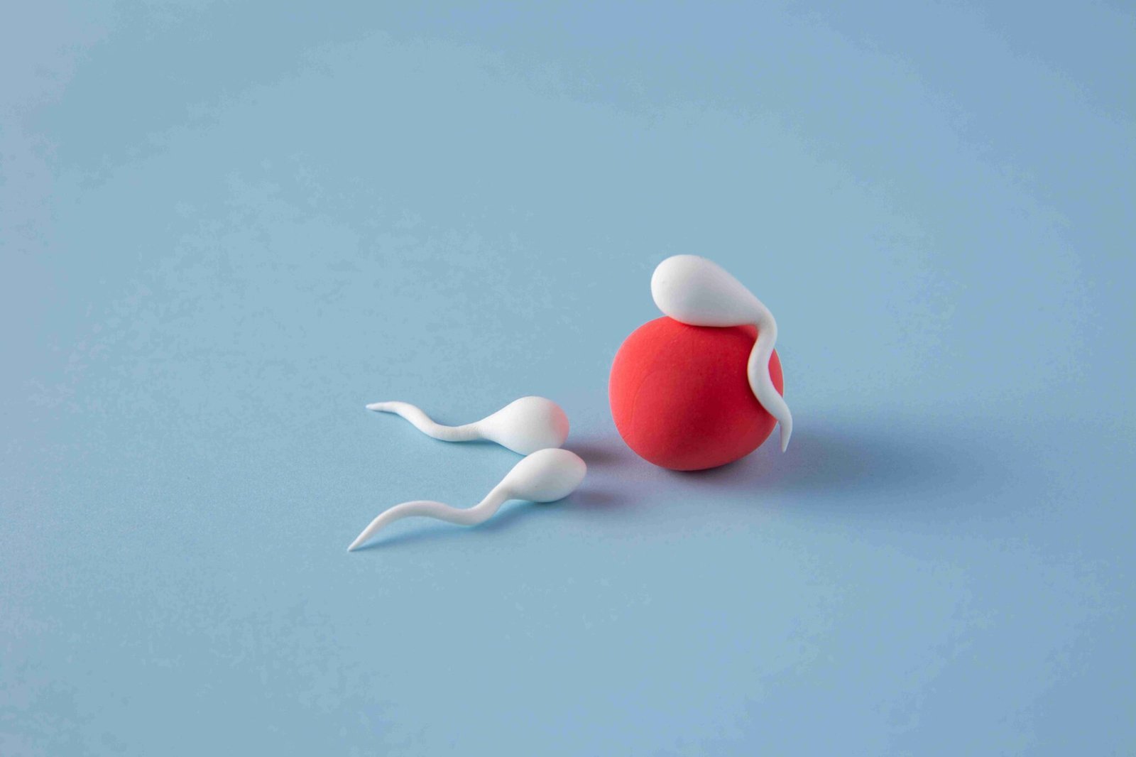 Donor Eggs & Sperm Treatment in Mumbai At Naraya Health